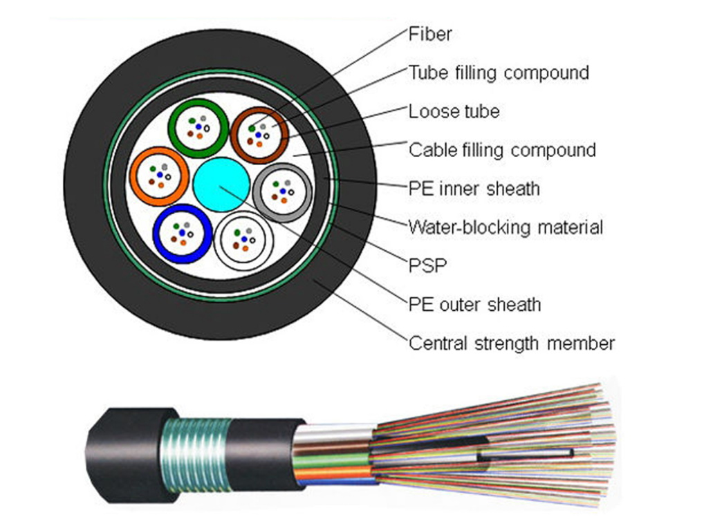 תמונה של מוצר מדגם OPFAM2002