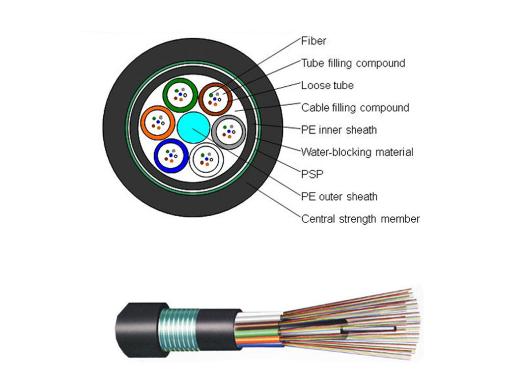 תמונה של מוצר מדגם OPFAS1006