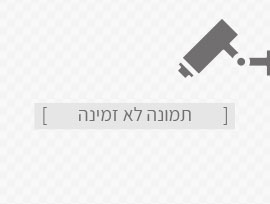 תגית לתמונה